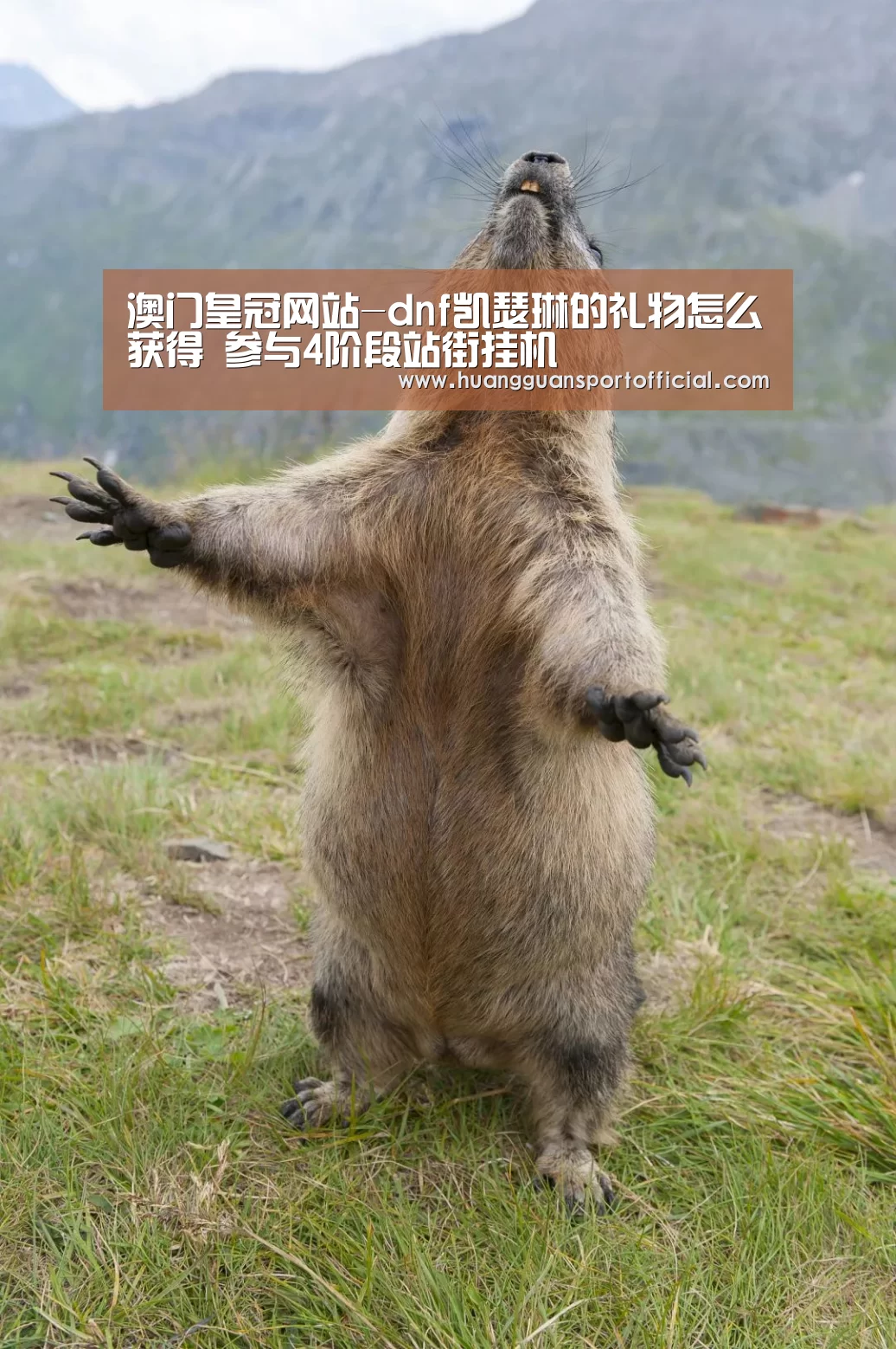 澳门皇冠网站-dnf凯瑟琳的礼物怎么获得 参与4阶段站街挂机(图3) 澳门皇冠网站